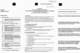 Screenshot interne Anweisungen des Bundestages