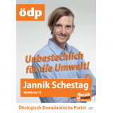 Portrait von Jannik Schestag