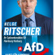 Portrait von Helge Ritscher